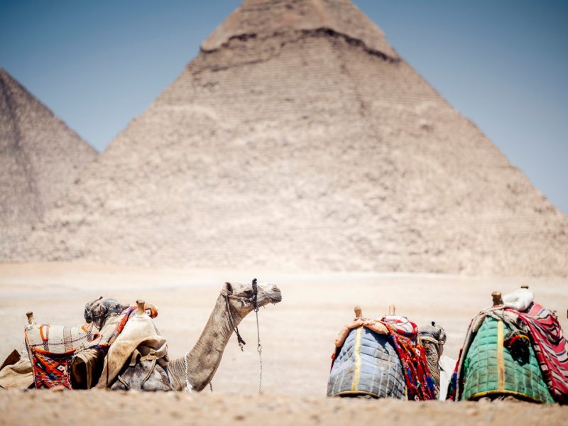 Mısır Turları